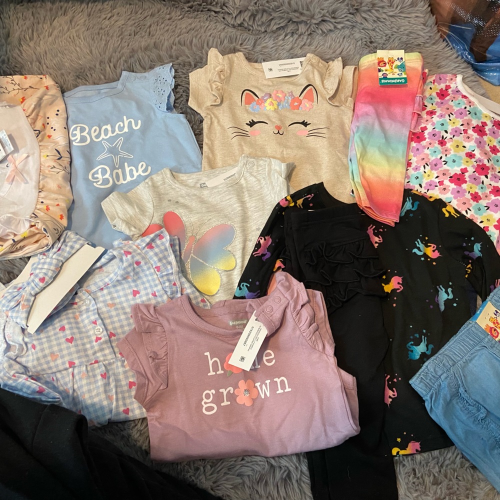 Baby girl clothing bundle